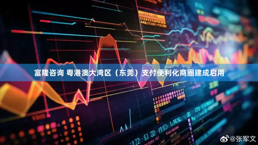 富隆咨询 粤港澳大湾区（东莞）支付便利化商圈建成启用